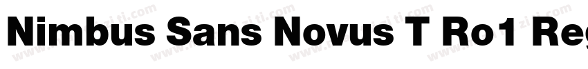 Nimbus Sans Novus T Ro1 Regular Ita字体转换